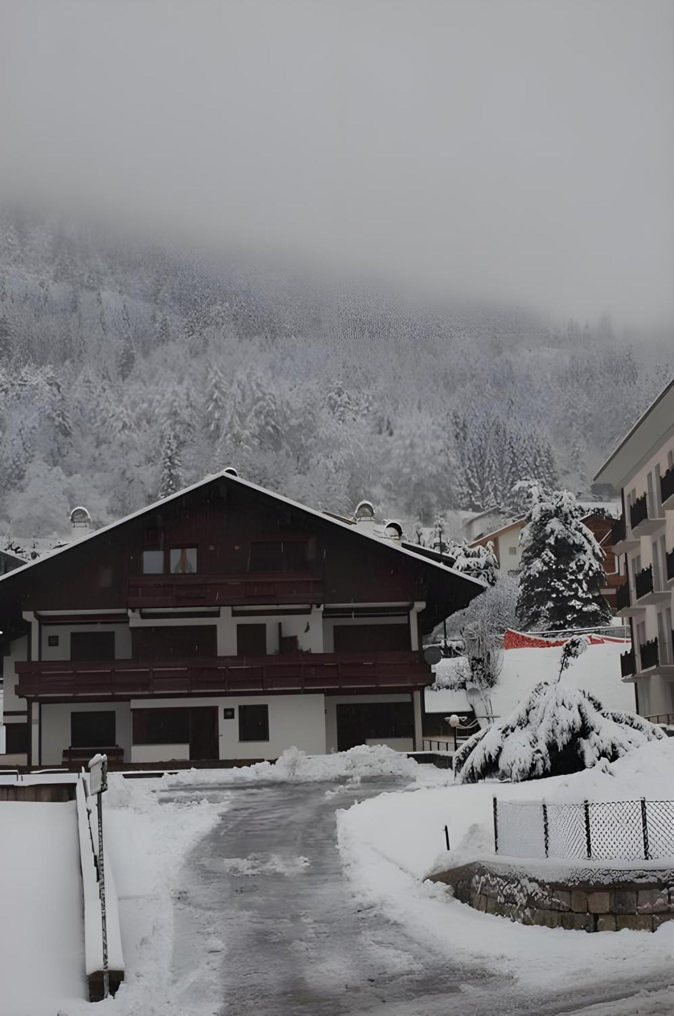 Апартаменты Habitat Dolomiti-Cadore Пьеве-ди-Кадоре Экстерьер фото